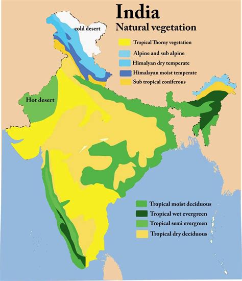 Natural Vegetation World Geography Map Geography Map India World Map