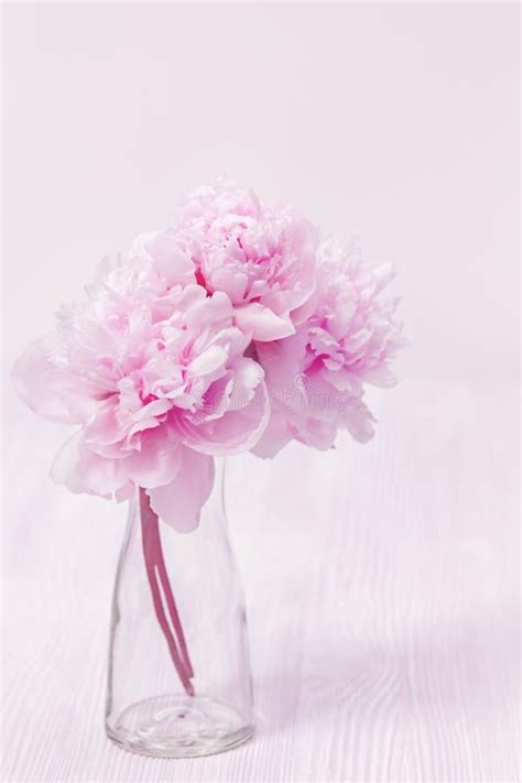 Pink Bouquet Of Peonies In Glass Vase Pastel Colored Still Life Stock Illustration