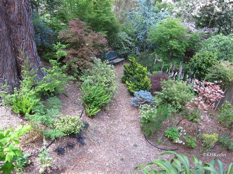 A Wandering Botanist Visiting Northern California Secret Garden