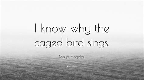 Maya Angelou Quote I Know Why The Caged Bird Sings