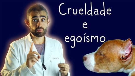 Sobre O Corte De Orelha E Rabo Em Cães Dica Veterinária 25 Youtube