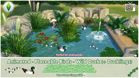 Mod The Sims Animated Placeable Birds Wild Duck Ducklings
