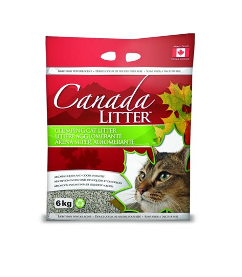 🐱 find cats and kittens locally for sale or adoption in canada : World's Best Natural Cat Litter Crafted with Care from Canada