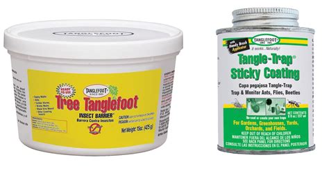 Buy Tanglefoot Bundle 2 Products Tree Insect Barrier Tub 8 Ounce