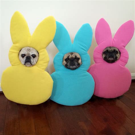 Easter Peeps Costume For My Pugs Zoe And Reagan Follow Us On Instagram
