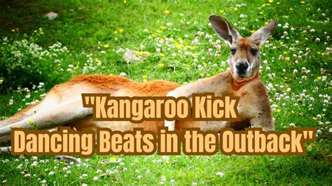 Kangaroo Kick Dancing Beats In The Outback Youtube