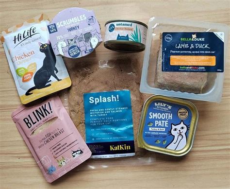 The 7 Best Healthy Canned Soft And Wet Cat Foods In The Uk In 2024