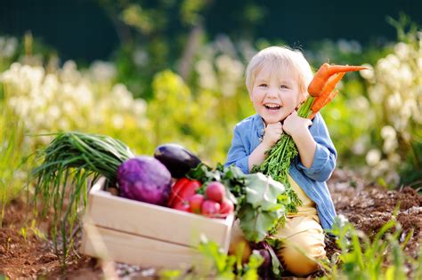 Vegetarian includes milk, eggs, and other dairy products in their diet. Being a Vegan: The History and Science Behind People ...