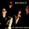 bauhaus:discography:in the flat field (live)