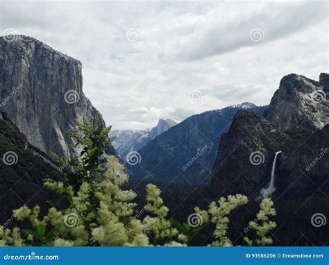 Paradise On Earth Stock Photo Image Of National Yosemite 93586206