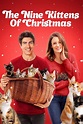 The Nine Kittens of Christmas (2021) Online sa prevodom - Filmativa