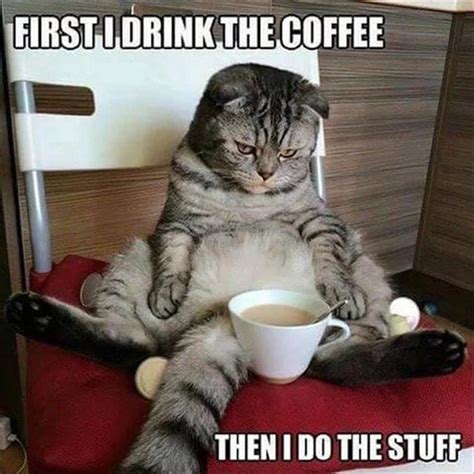 75 coffee memes that may actually make you spit out your coffee