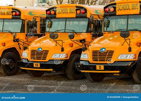 Parked Yellow School Buses Rear View Editorial Photo Cartoondealer