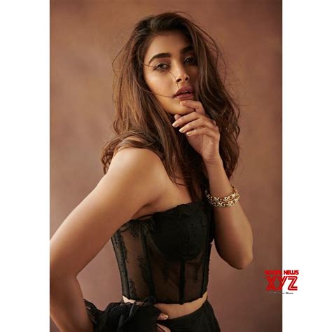 Actress Pooja Hegde Hot And Sexy New Stills Social News Xyz
