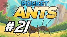 Pocket Ants - 21 - "Big Content Update!!" - YouTube
