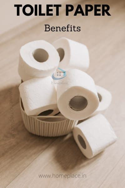 Best Quality Toilet Papers In India From Top Brands