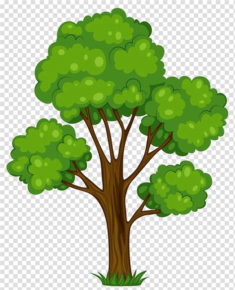 Tree Cartoon Tree Transparent Background Png Clipart Hiclipart