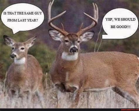 Found On Americas Best Pics And Videos Hunting Quotes Funny Deer