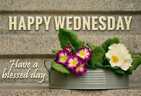 Happy Wednesday Everyone Have A Blessed Day Premium Wishes