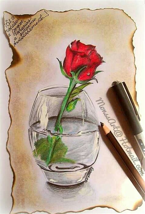 Pin De Estela En Mi Agenda Dibujos De Rosas Dibujos A Lapiz Rosas