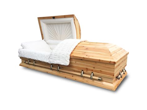 Roanoke 28 Solid Cedar Wood Oversized Casket Sky Caskets