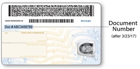 Us Drivers License Barcode Attributes By State Candyplm