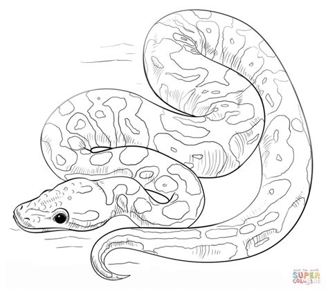 Get This Free Snake Coloring Pages 34753