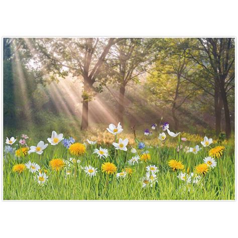 Buy Allenjoy Spring Easter Grassland Floral Backdrop Pictures Nature