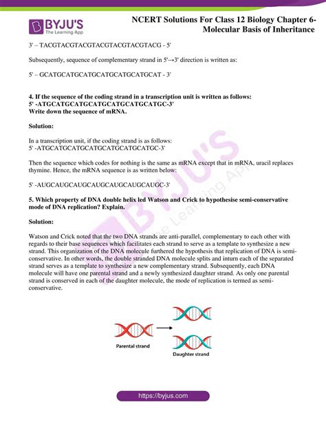 NCERT Solutions Class 12 Biology Chapter 6 Molecular Basis Of
