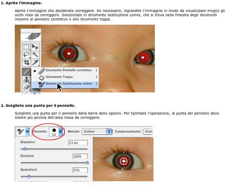 Correggere Leffetto Occhi Rossi Con Photoshop Cs Spider Mac