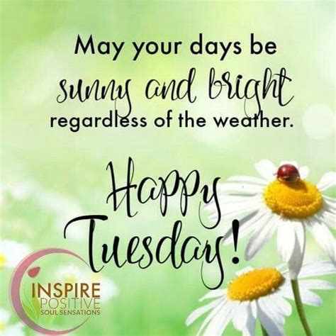 Happy Tuesday Quotes And Images