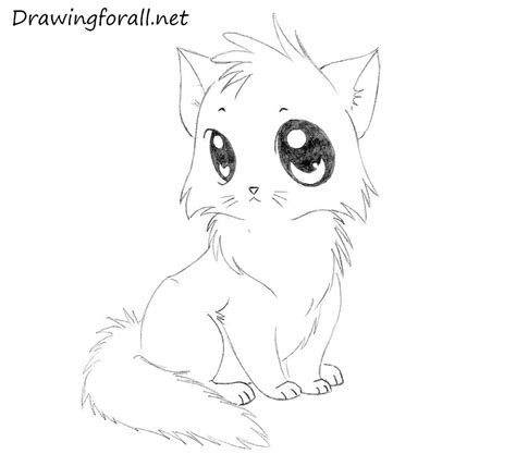 This is a blog where i sketch all sorts of cats to meet my daily drawing goals. How to Draw a Cartoon Cat for Kids | Drawingforall.net