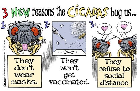Political Cartoons State Of The States 3 New Reasons The Cicadas