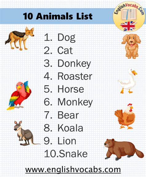 10 Common Animals List Archives English Vocabs