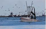 Photos of Fishing Boat Galveston