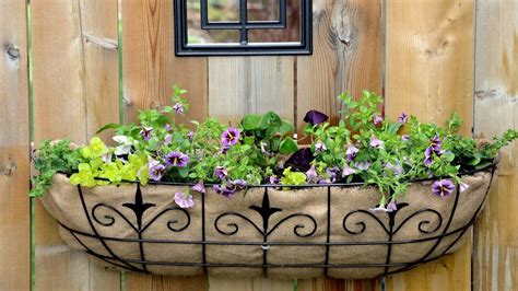 Pin On Garden Flowerswindow Boxeshanging Baskets