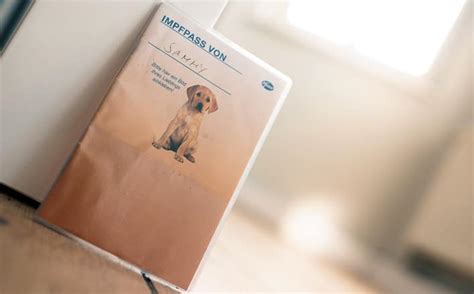 Das war #unertraeglichearroganz von mir. Impfpass für Hunde › mydog365 Magazin