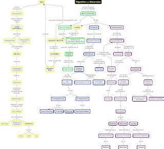 Blog De Fisiologia Medica De Miguel Angel Rivera Arce Mapa Conceptual
