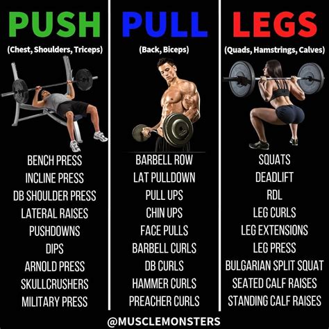 Create Your Own Push Pull Legs Routine 1 Choose 2 3 Exercises Per