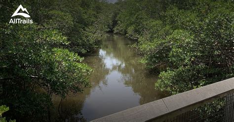 Best Trails In Saint Lucie Inlet Preserve State Park Florida Alltrails