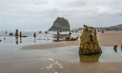 The Oregon Coasts Most Surprising Places Travel Oregon Oregon Coast