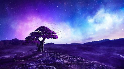 2560x1440 Purple Tree Stories 1440p Resolution Hd 4k Wallpapers Images Backgrounds Photos And