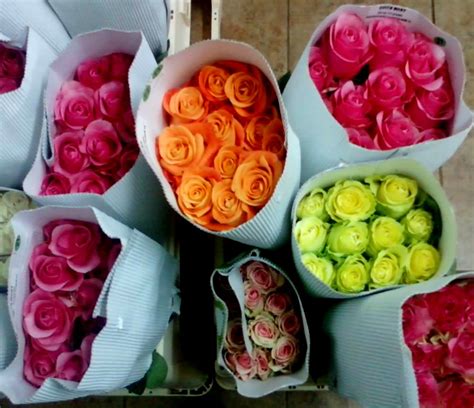 Toko Bunga Rawa Belong Florist Jakarta Indonesia Flower Shop Toko