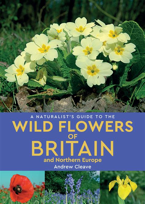 A Naturalists Guide To The Wild Flowers Of Britain And N Europe