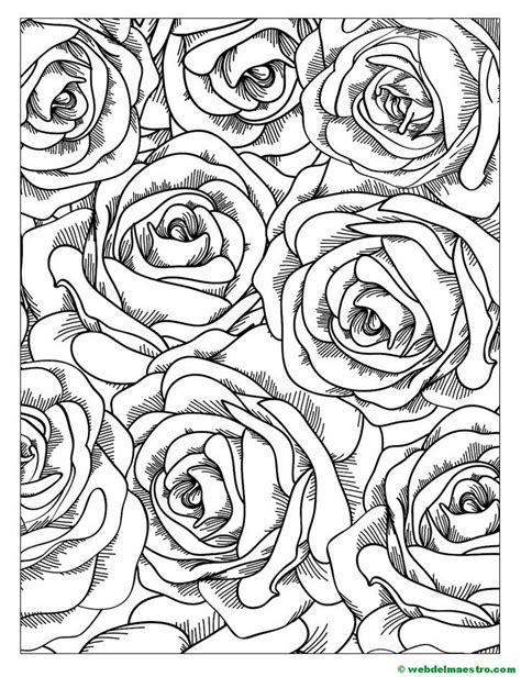 Rosas Para Colorear 4 Web Del Maestro