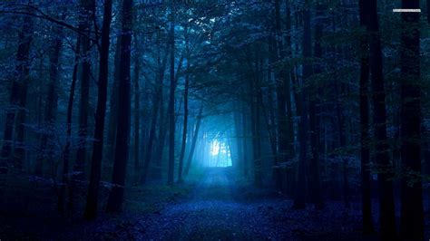 Pin By Heinrich On Dark Foggy Forest Nature Wallpaper Forest