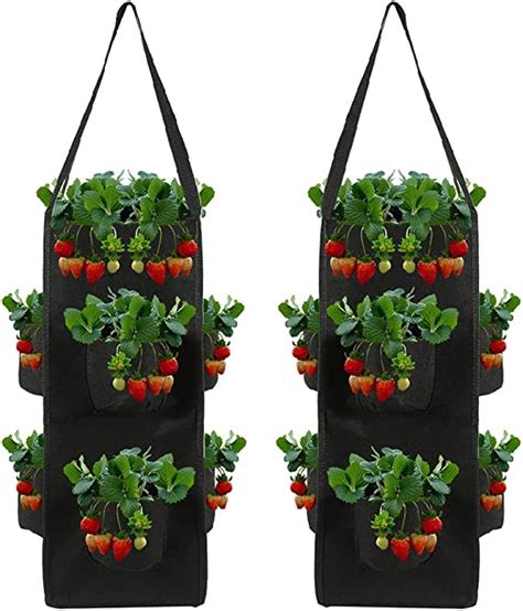 Feedh197am Hanging Strawberry Grow Bags Breathable Soft Sided Nonwoven
