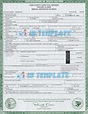 Illinois State Death Certificate PSD Template | Illinois Death Certificate