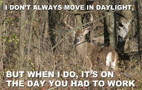 Best 25 Hunting Humor Ideas On Pinterest Funny Hunting