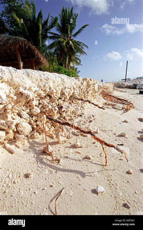 Beach Erosion In The Maldives Stock Photo Alamy